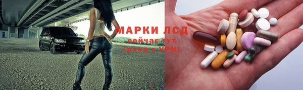 прущие грибы Медногорск