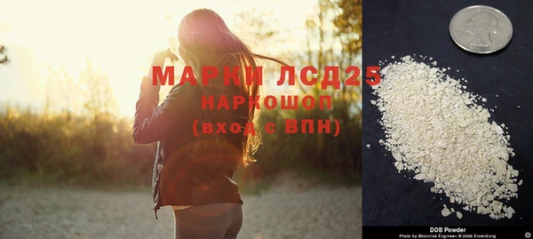 прущие крисы Магадан