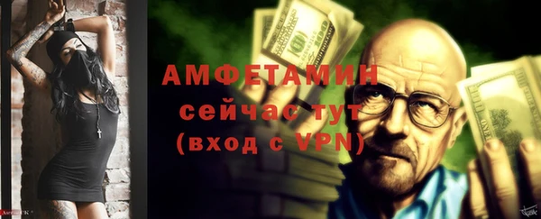 прущие грибы Медногорск