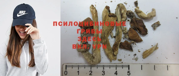 не бодяженный Медвежьегорск