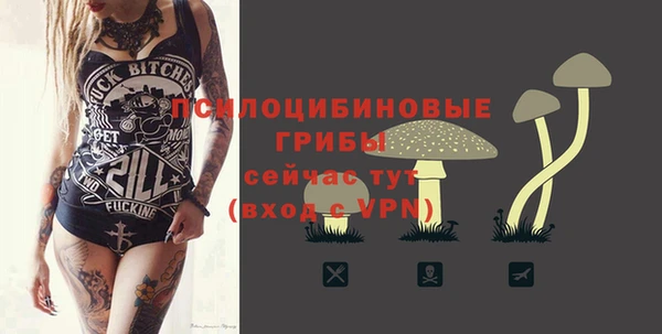 прущие грибы Медногорск