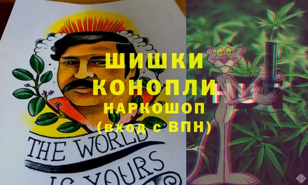 стафф Мегион