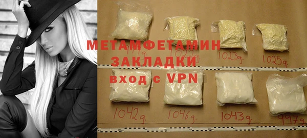 прущие грибы Медногорск